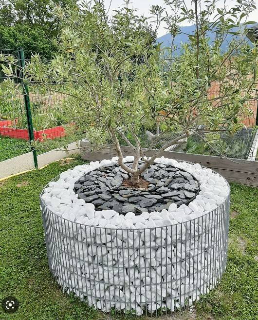 Jardinière circulaire - contour d'arbre